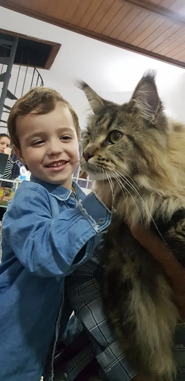 Criança sorrindo ao lado de gato de pelo longo